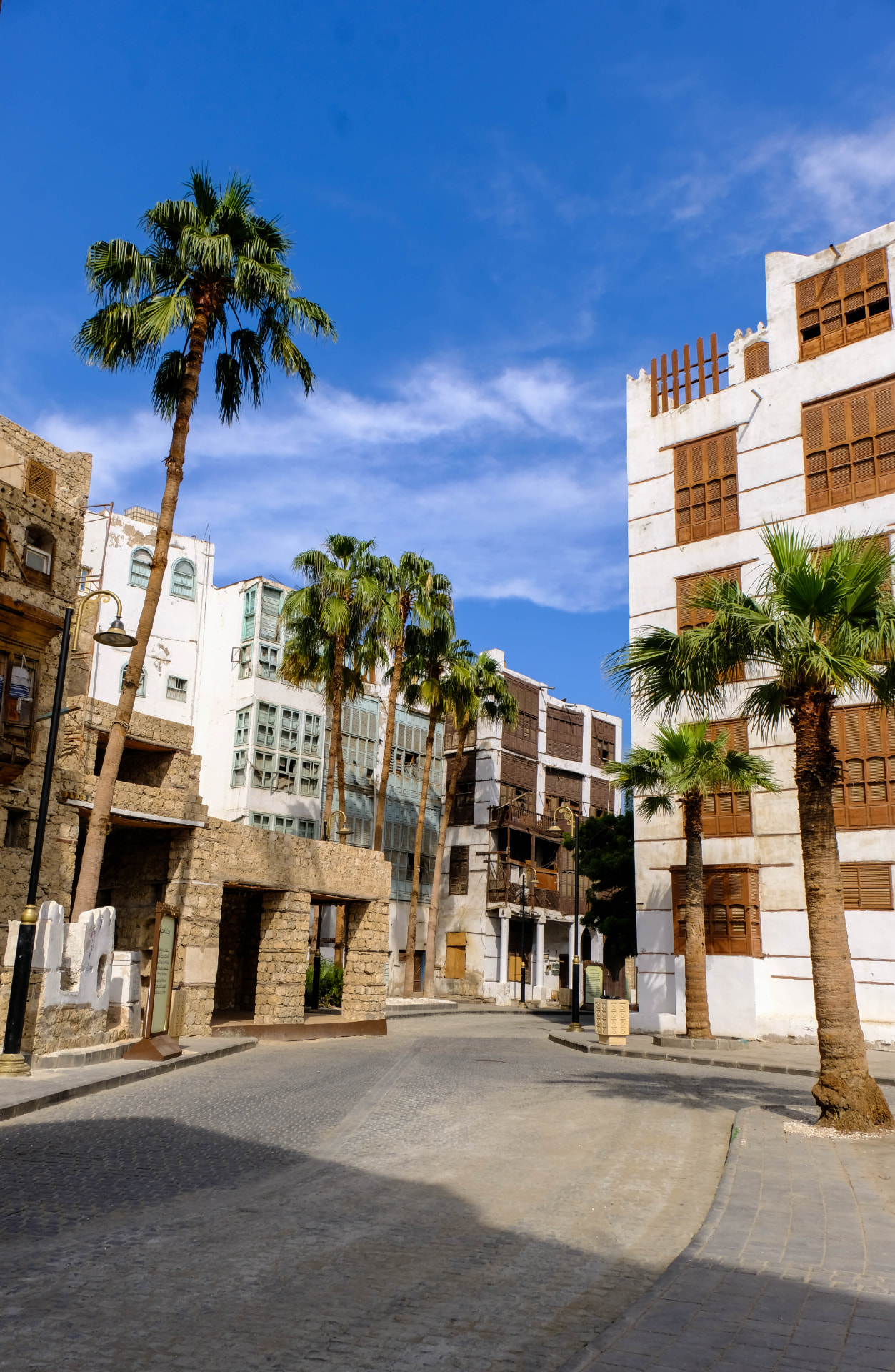 Historic Saudi architecture